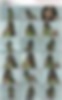 86450100_47.mp4.jpg