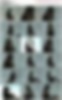 86450125_53.mp4.jpg