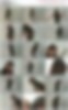 86450127_54.mp4.jpg