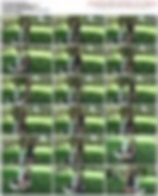 87203893_tbf_241.mp4.jpg