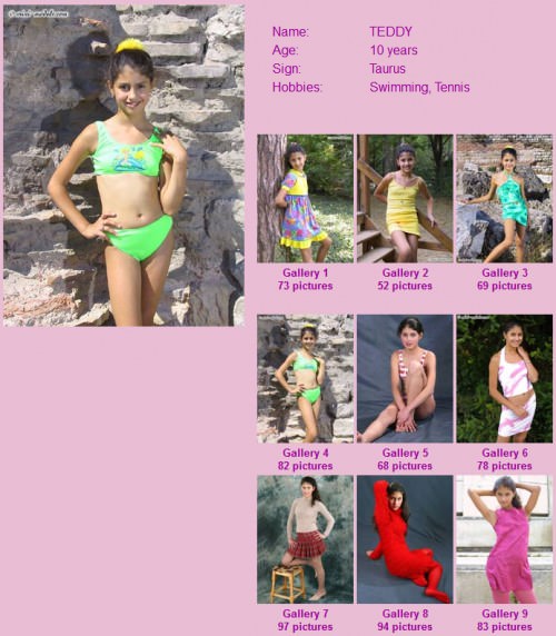 Mini-Models-Teddy